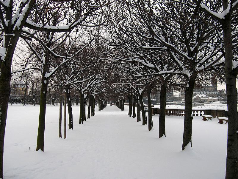 2007-01-25, Schnee (3).JPG